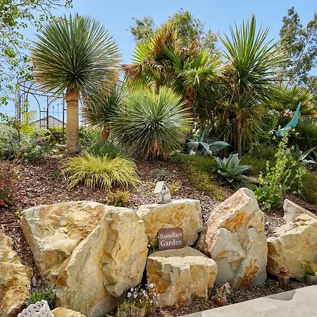 La Surville Guest house
